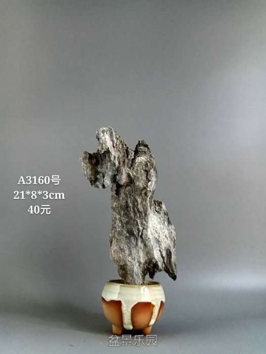 a3160.jpg