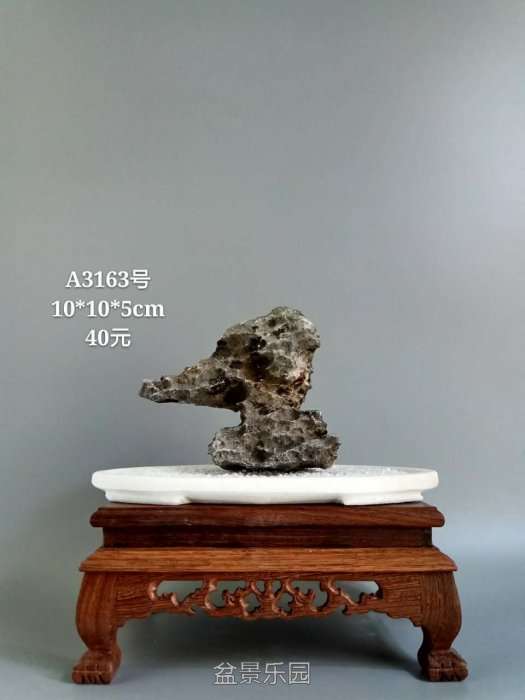 a3163.jpg