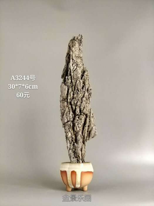a3244.jpg