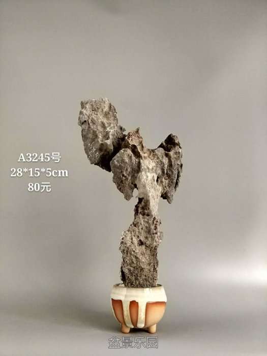 a3245.jpg