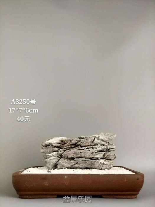 a3250.jpg