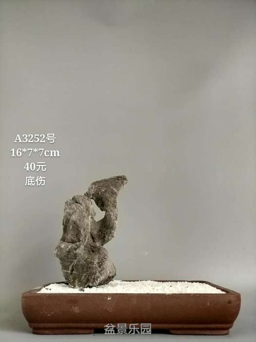a3252.jpg