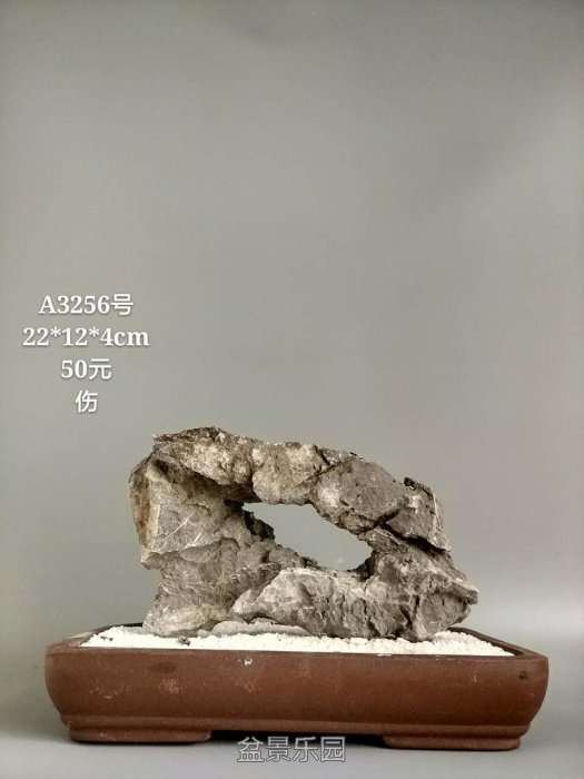a3256.jpg