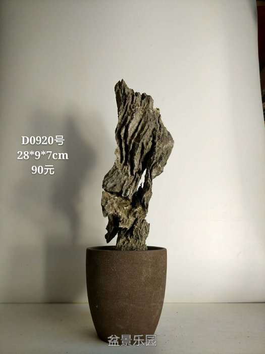 d0920.jpg