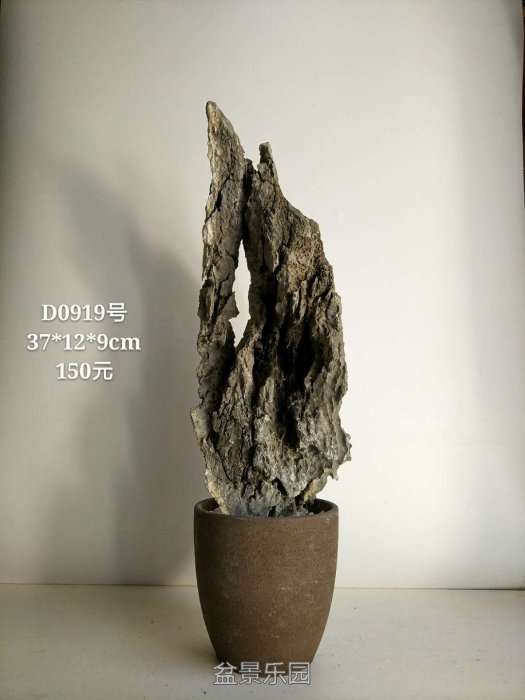d0919.jpg