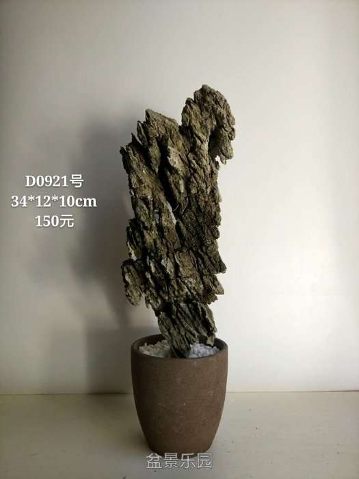 d0921.jpg