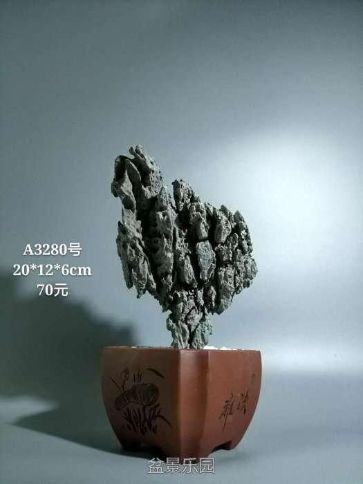 a3280.jpg