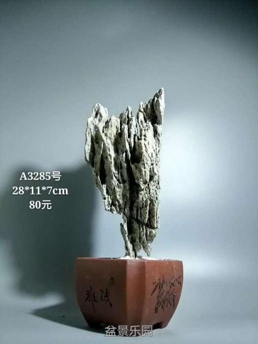 a3285.jpg