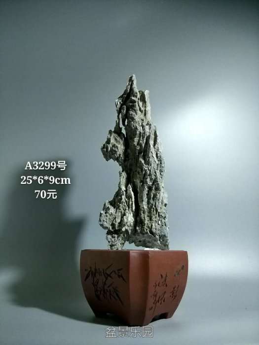 a3299.jpg