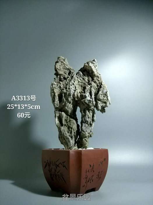 a3313.jpg