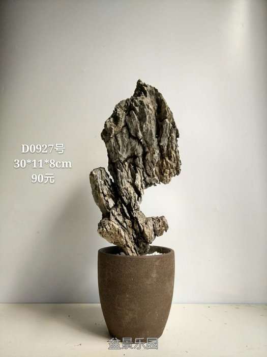 d0927.jpg