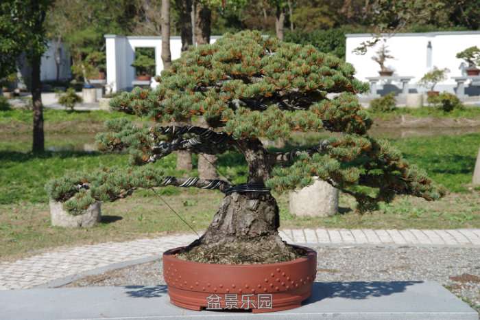 IMGP7345.JPG
