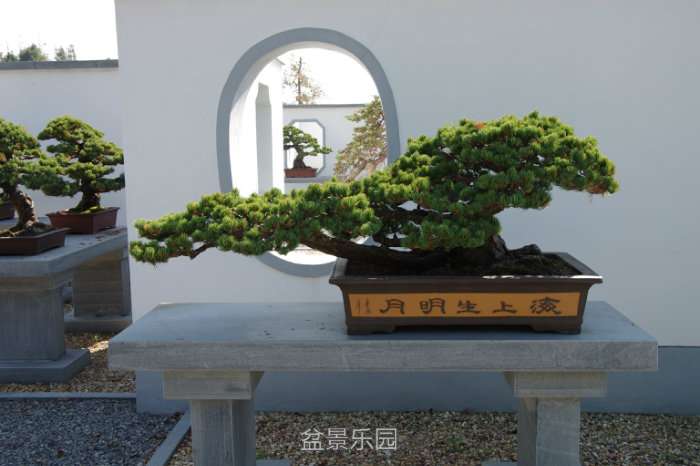 IMGP7407.JPG