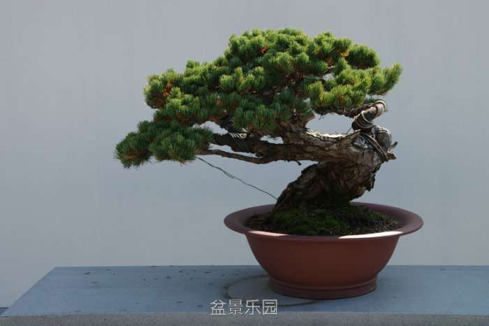 IMGP7416.JPG