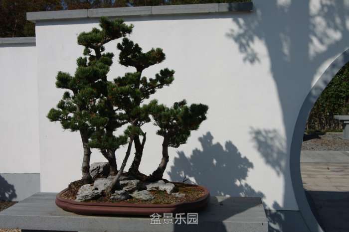 IMGP7429.JPG