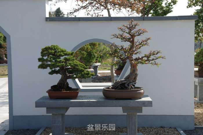IMGP7440.JPG