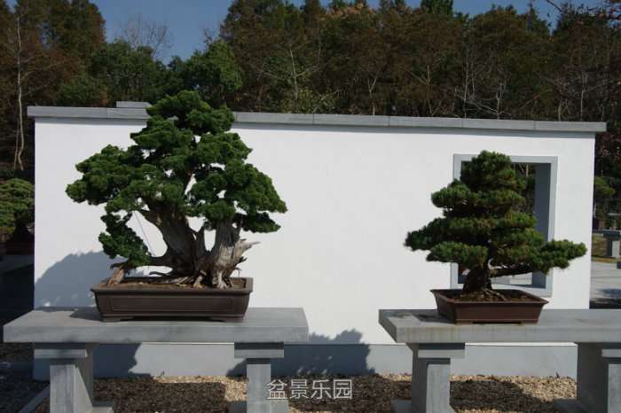 IMGP7441.JPG