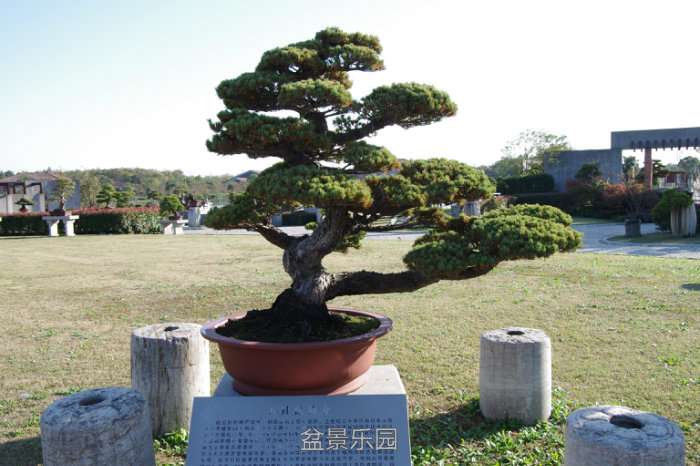 IMGP7478.JPG