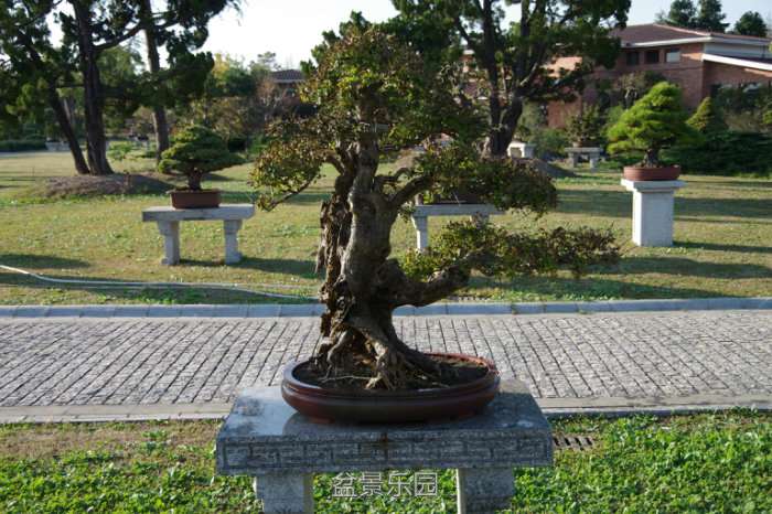 IMGP7556.JPG