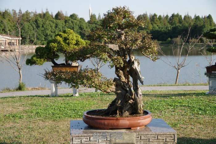 IMGP7557.JPG