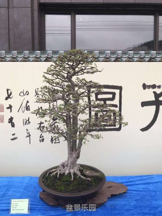 mmexport1511006353126.jpg