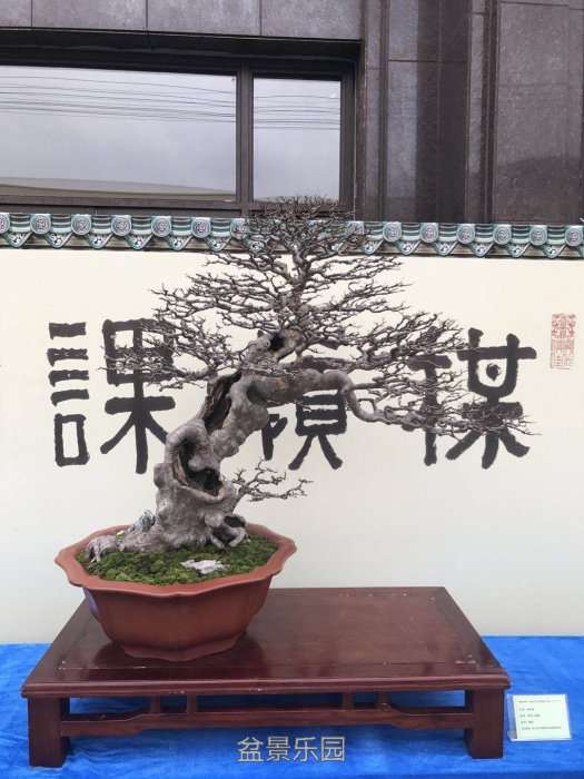 mmexport1511006355098.jpg