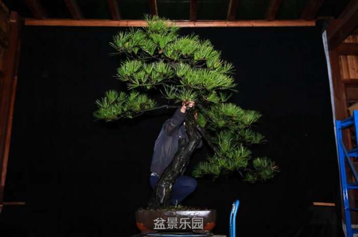 QQͼƬ20171117131135.jpg