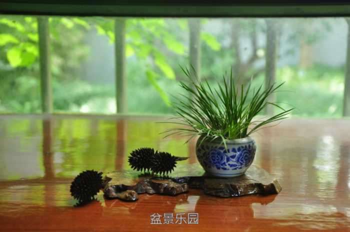 nEO_IMG_DSC_8223.jpg