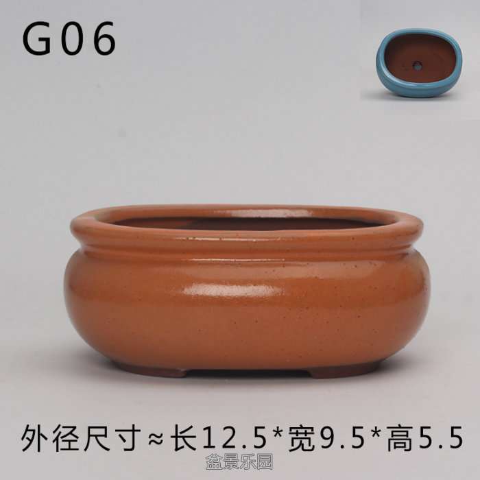 G06.jpg