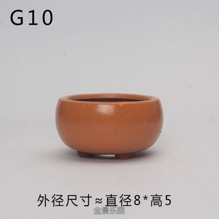 G10.jpg