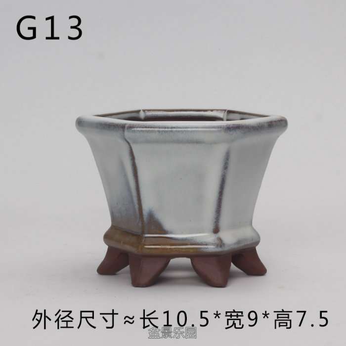 G13.jpg