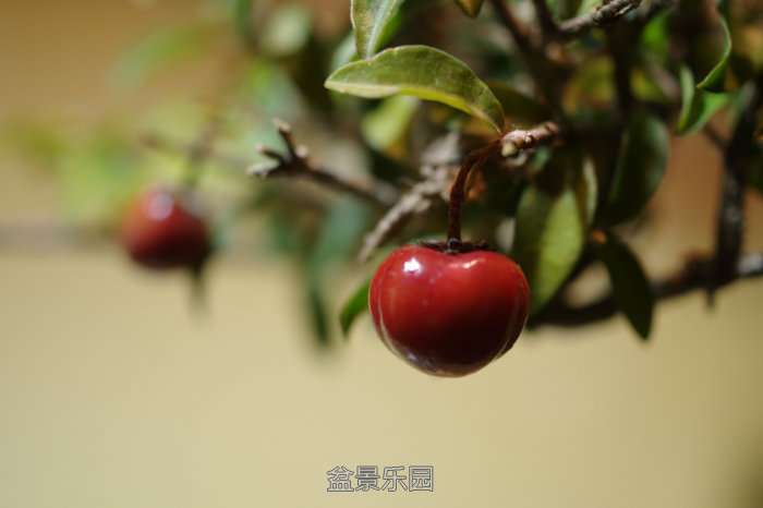 IMGP7670.JPG