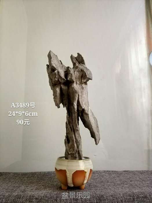 a3489.jpg