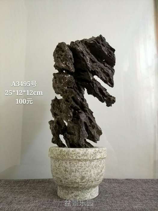 a3495.jpg