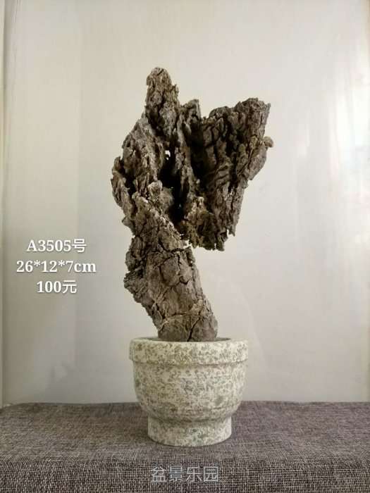 a3505.jpg