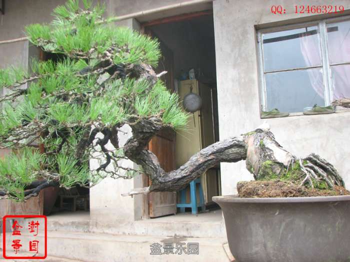 IMG_3892_%E5%89%AF%E6%9C%AC_%E5%89%AF%E6%9C%AC_%E5%89%AF%E6%9C%AC.jpg