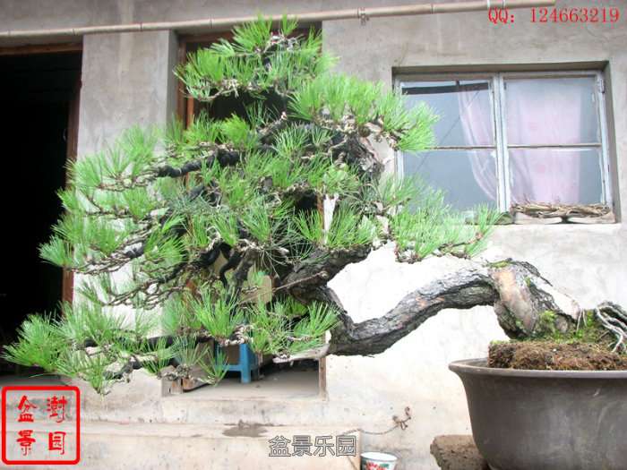IMG_3893_%E5%89%AF%E6%9C%AC_%E5%89%AF%E6%9C%AC_%E5%89%AF%E6%9C%AC.jpg
