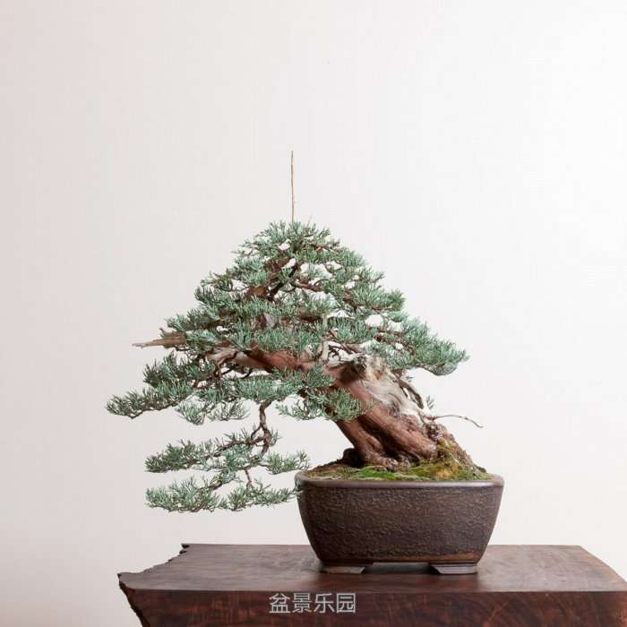 untitled-3814.jpg