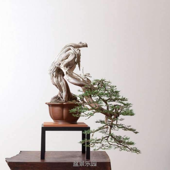 untitled-3820.jpg