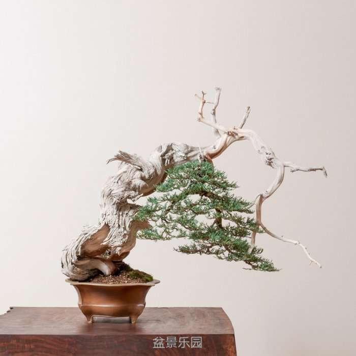 untitled-3921.jpg