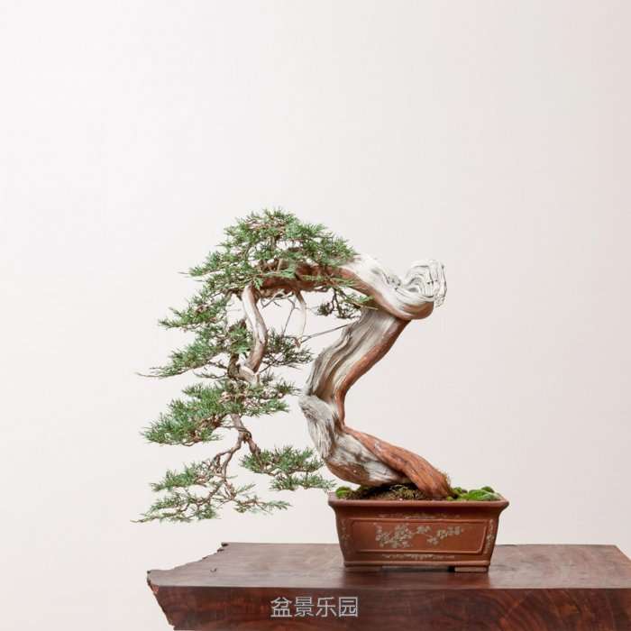 untitled-3937.jpg