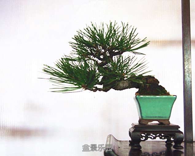 P1013432_.jpg
