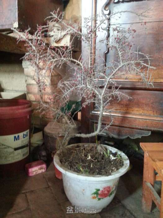 20171207_120156.jpg