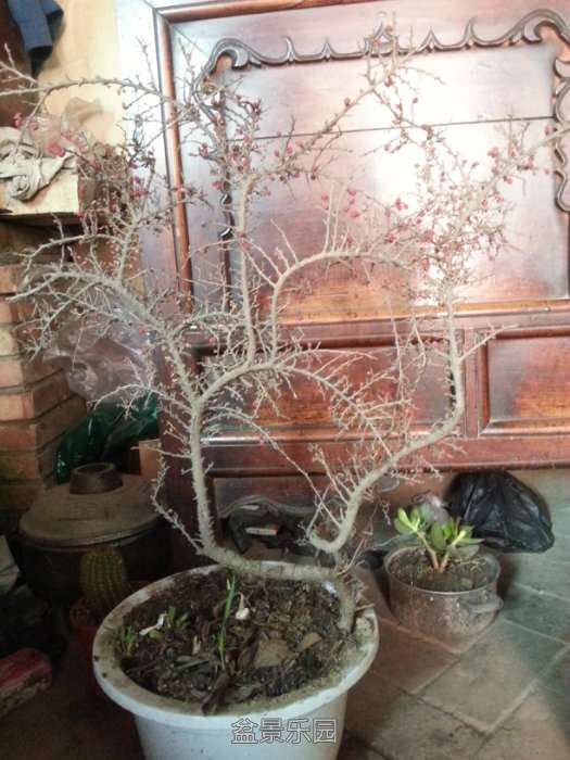 20171207_120224.jpg
