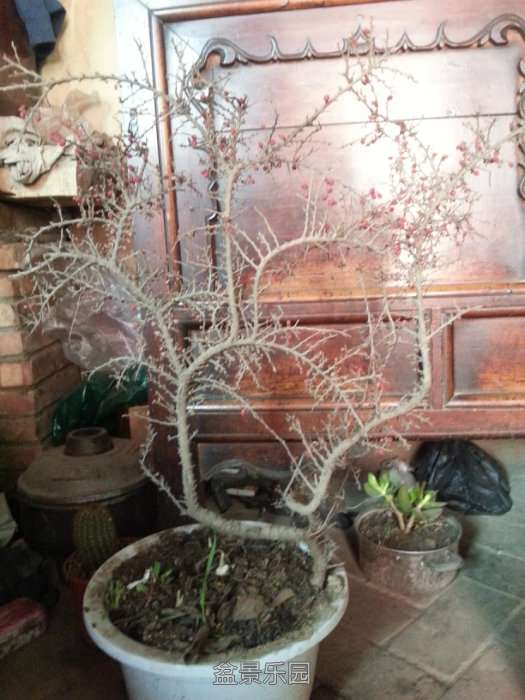 20171207_120229.jpg