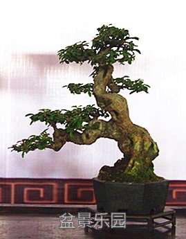 P1013437_.jpg