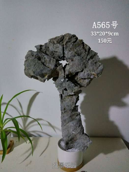 a565.jpg