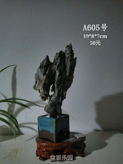 a605.jpg