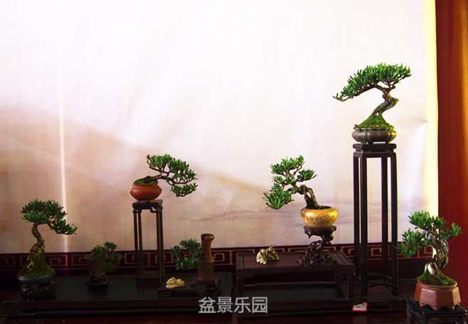 P1013448_.jpg