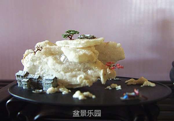 P1013447_.jpg